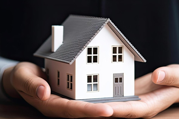 Property Taxes
